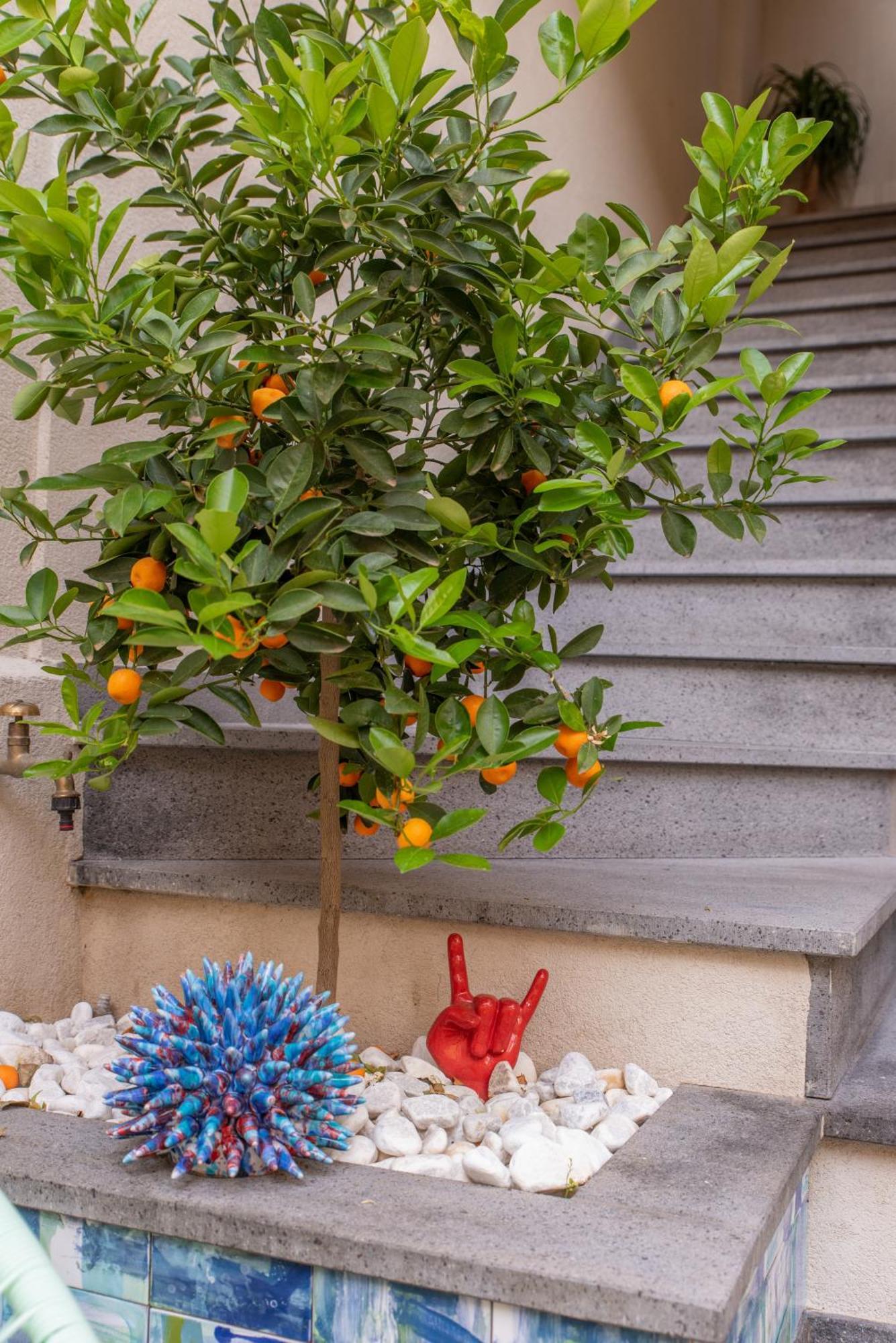 Villa D'Orville Luxury Suites Taormina Buitenkant foto